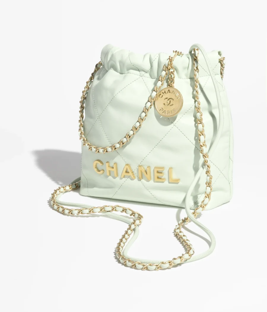 CHANEL 22 Mini Handbag-1
