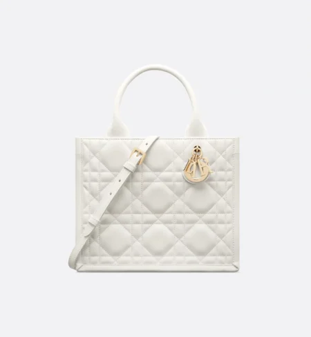 Small Dior Book Tote-6