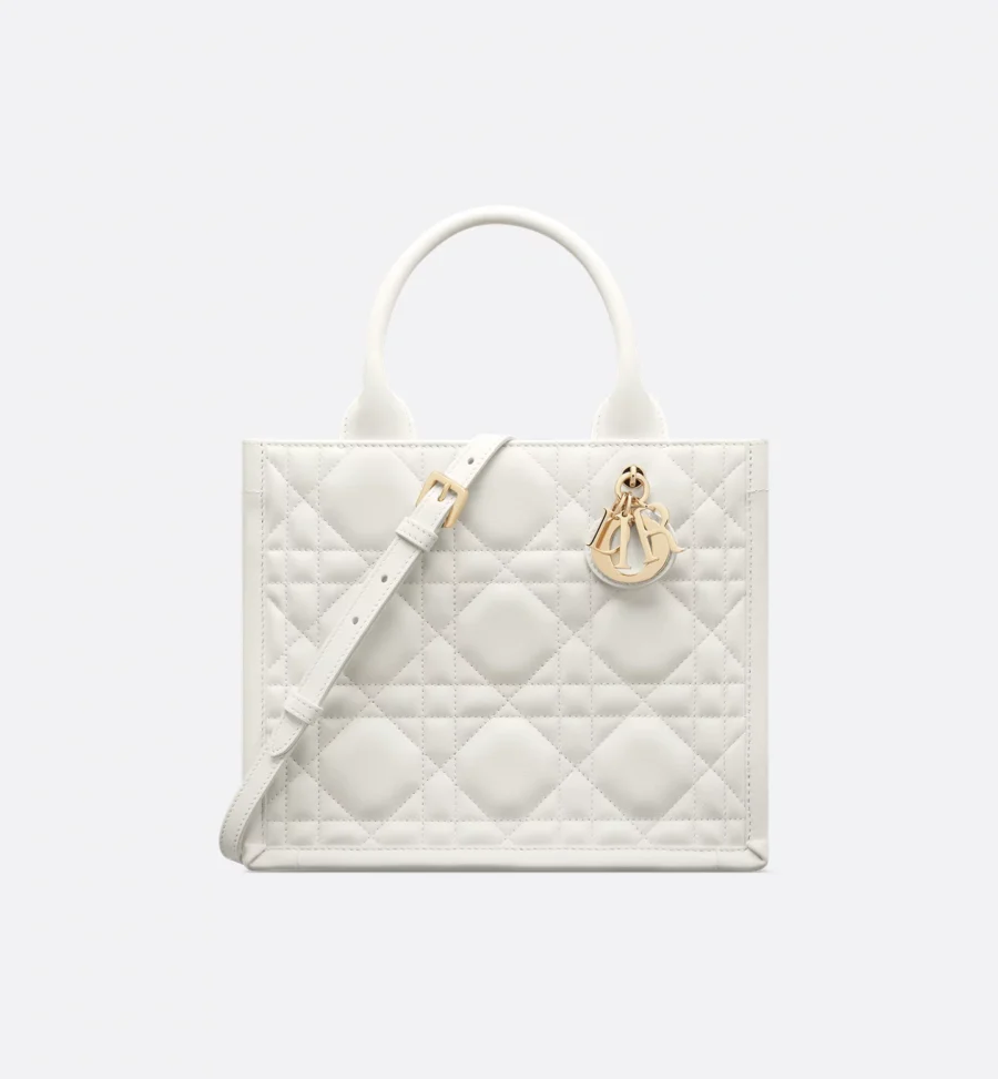 Small Dior Book Tote-6