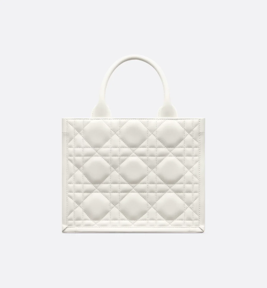 Small Dior Book Tote-6 - Image 5