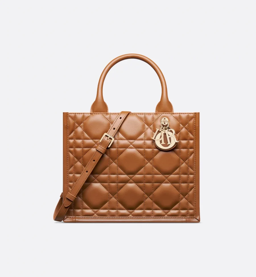Small Dior Book Tote-5