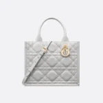 Small Dior Book Tote-4