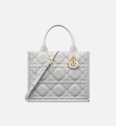 Small Dior Book Tote-4