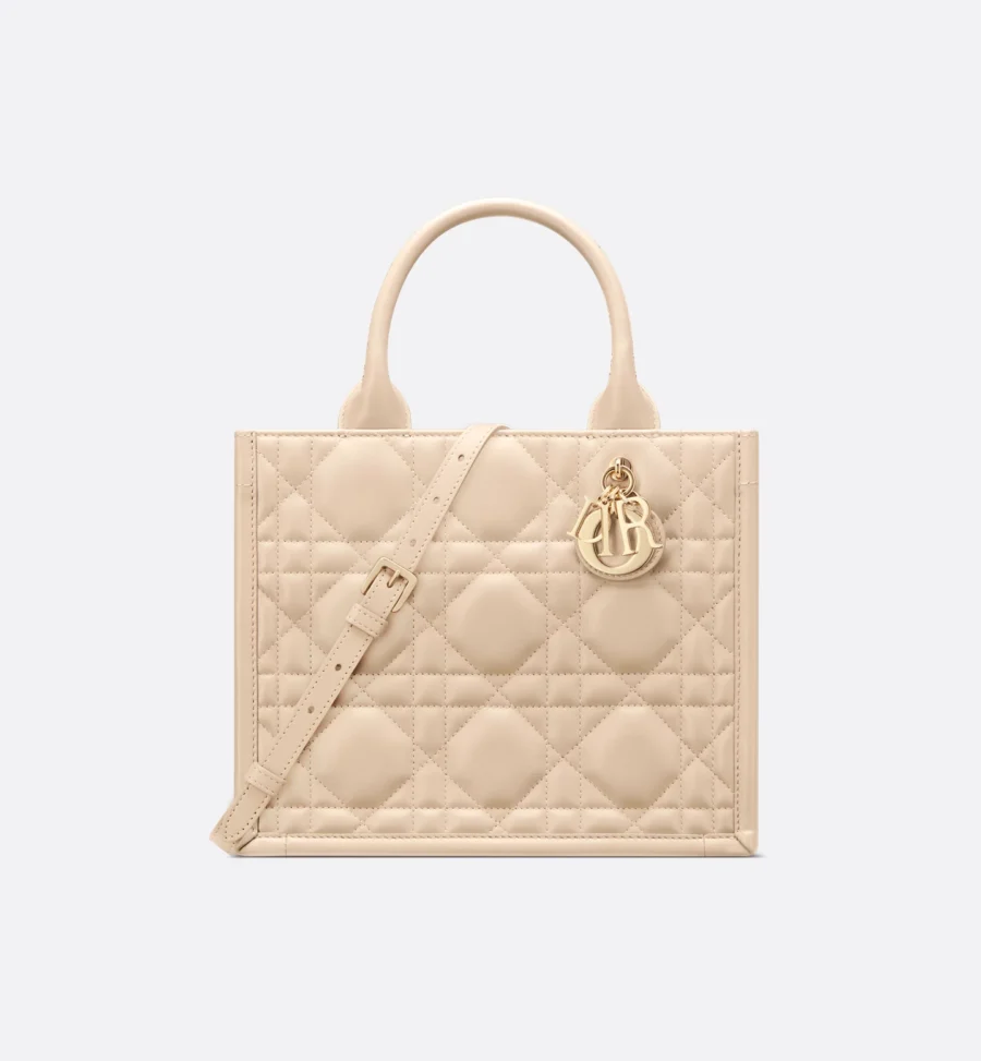 Small Dior Book Tote-3