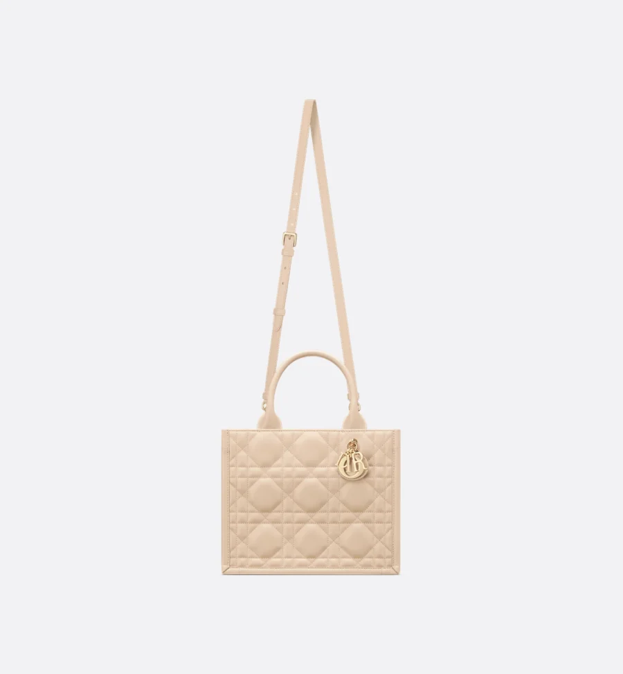 Small Dior Book Tote-3 - Image 4