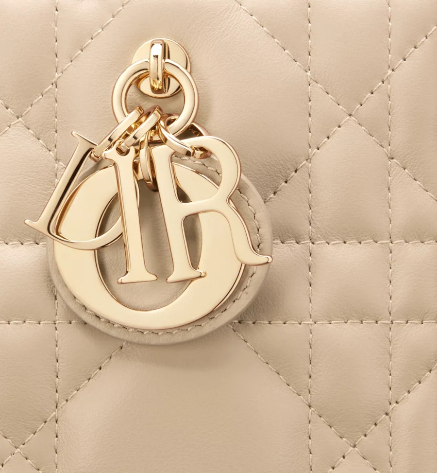 Small Dior Book Tote-3 - Image 6