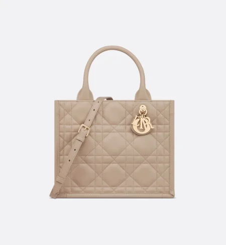 Small Dior Book Tote-2