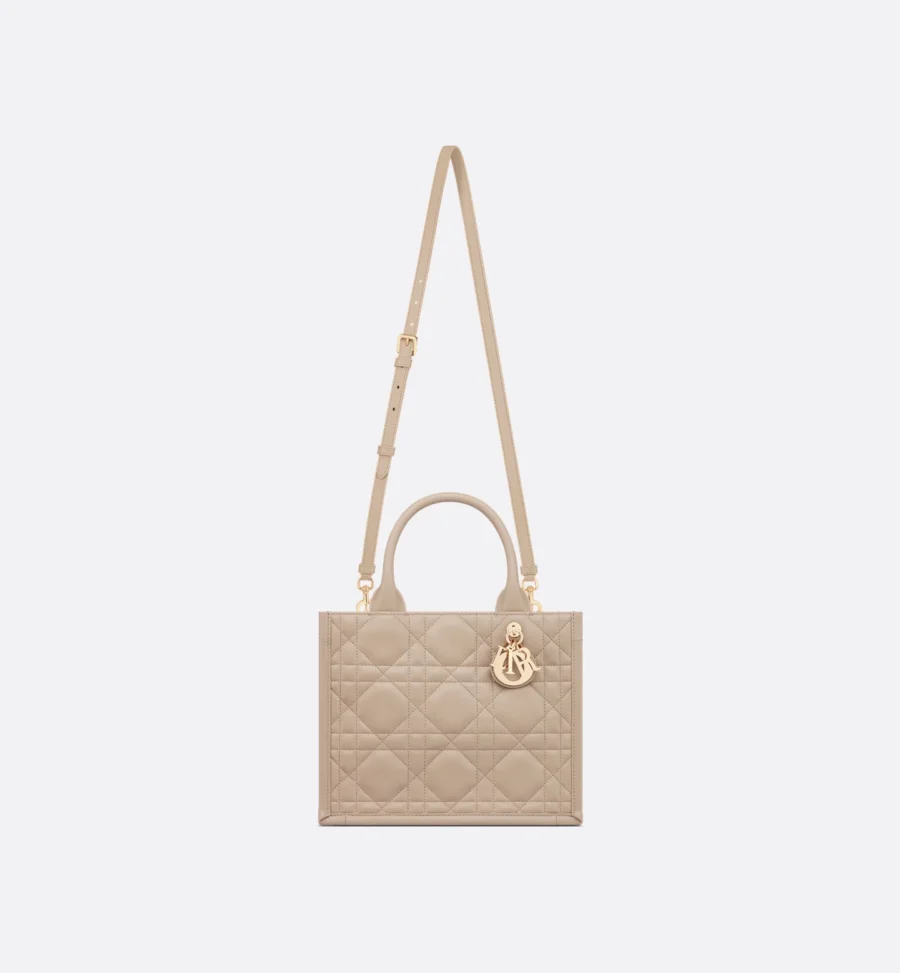 Small Dior Book Tote-2 - Image 4