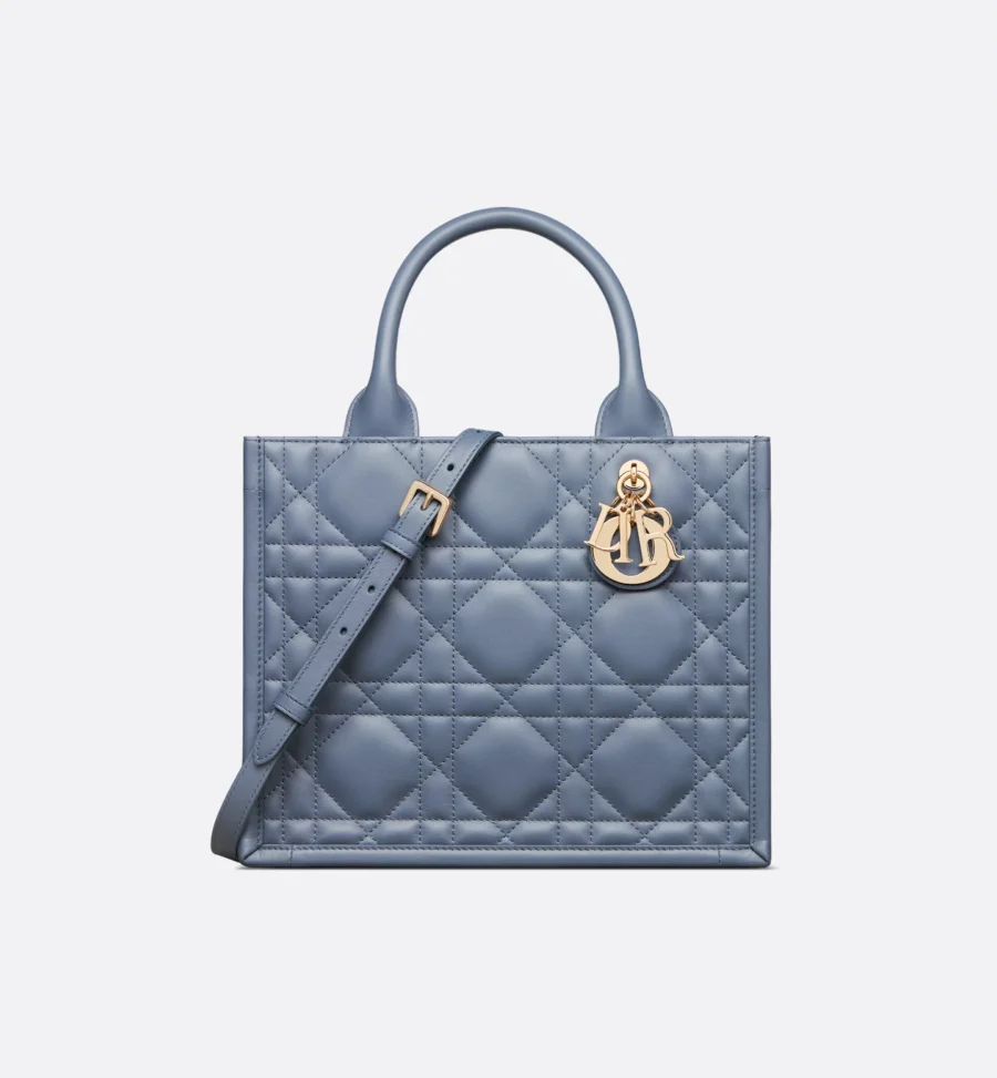 Small Dior Book Tote-1