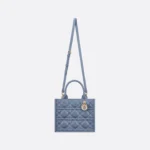 Small Dior Book Tote-1 - Image 4