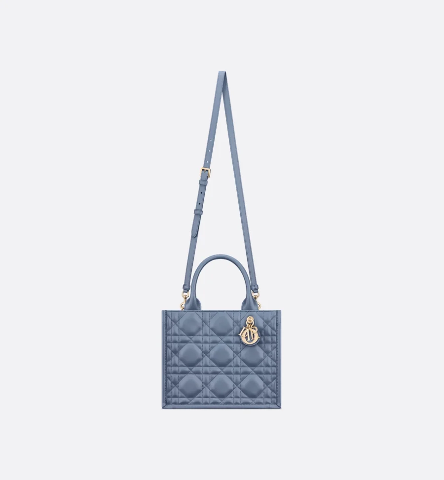 Small Dior Book Tote-1 - Image 4