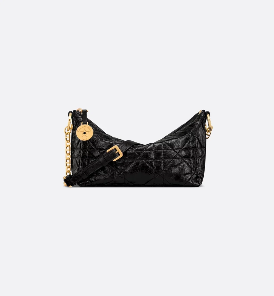 Diorstar Hobo Bag with Chain-1